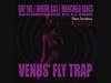 The collaborative album "Venus' Fly Trap" is musical theater on wax. With a narrative thread throughout, it tells a story of a love triangle from its beginning to its end.