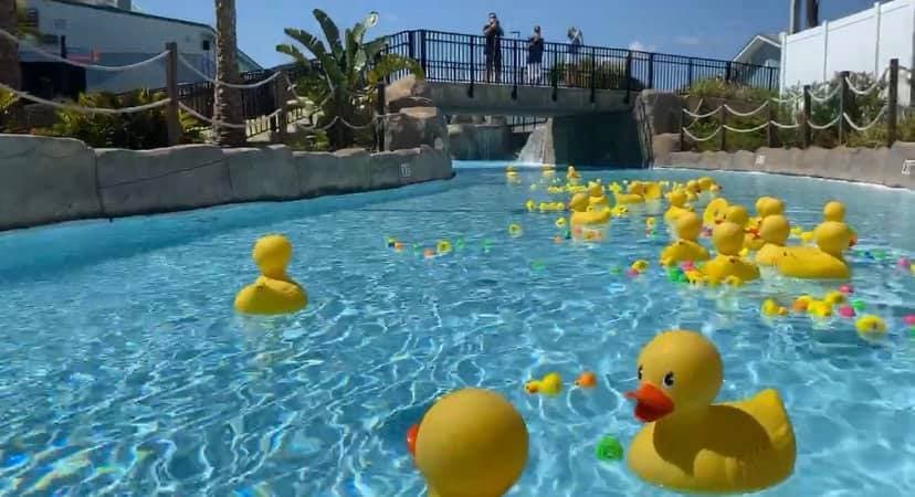Pathway Homes' 2026 DUCK RACE