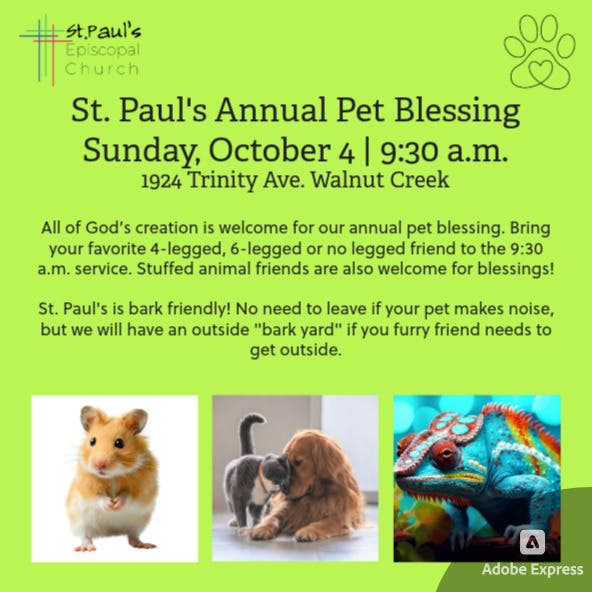 Blessing of the Animals at St. Paul's Walnut Creek