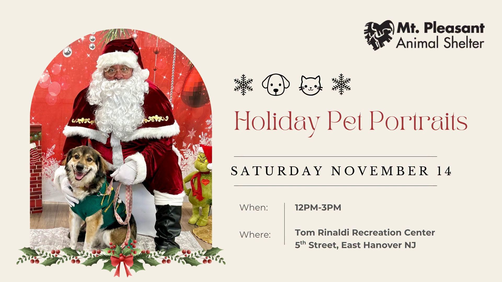Holiday Pet Photos