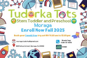 Tudorka Tots Inc 