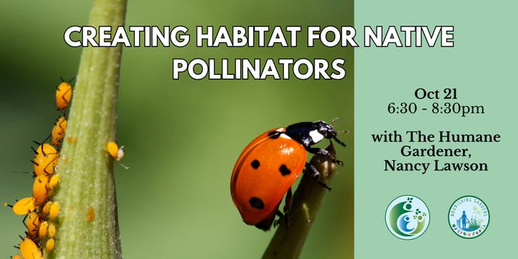 Oct 21 | Creating Habitat for Native Pollinators | Columbia, MD Patch