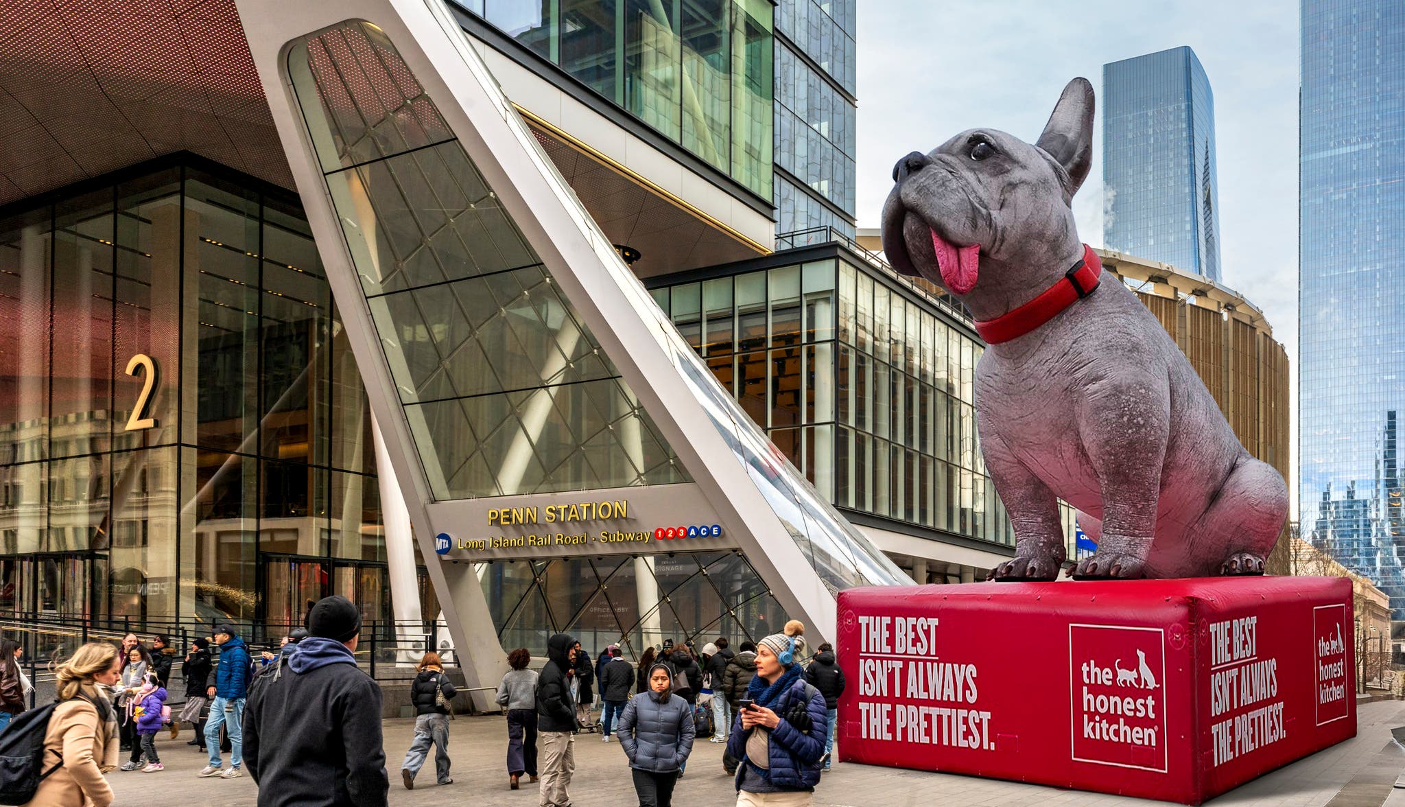 Celebrate the Beauty of Real Pups with The Honest Kitchen