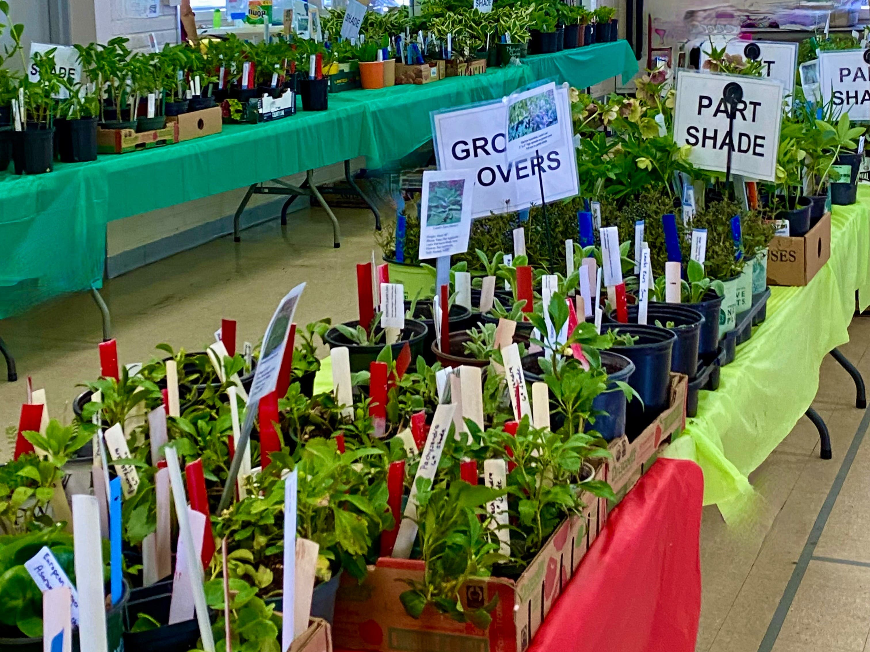 Northbrook Garden Club Plant Sale Fri 5/15 (9-4) & Sat 5/16 (9-2)