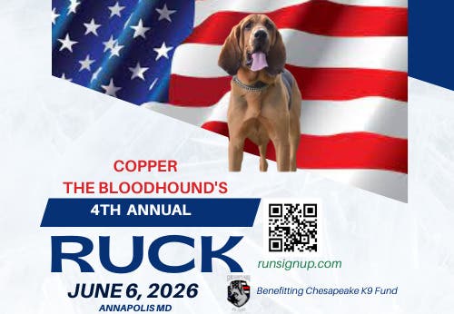 Copper the Bloodhound's 4th Annual Ruck