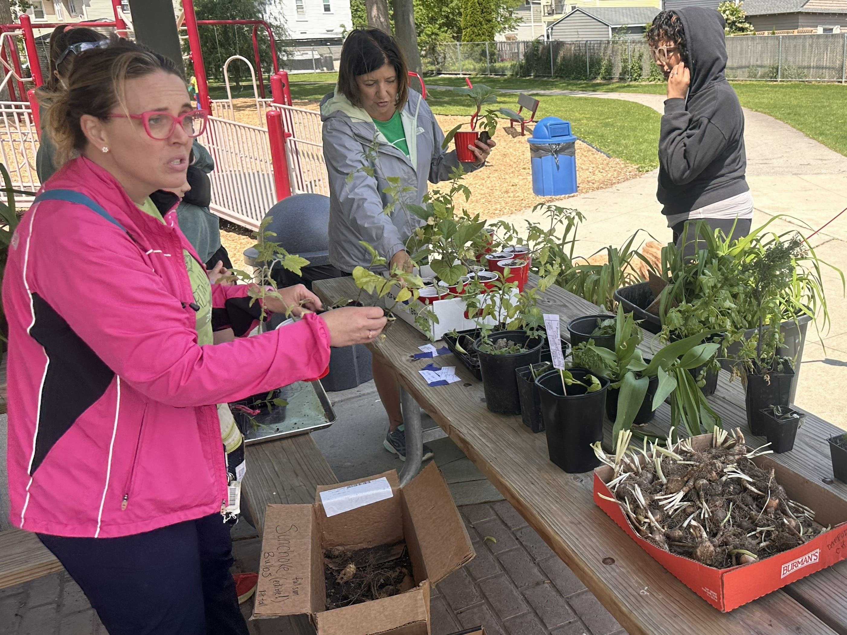 GardenWalk Lakewood's Annual Spring Plant Swap