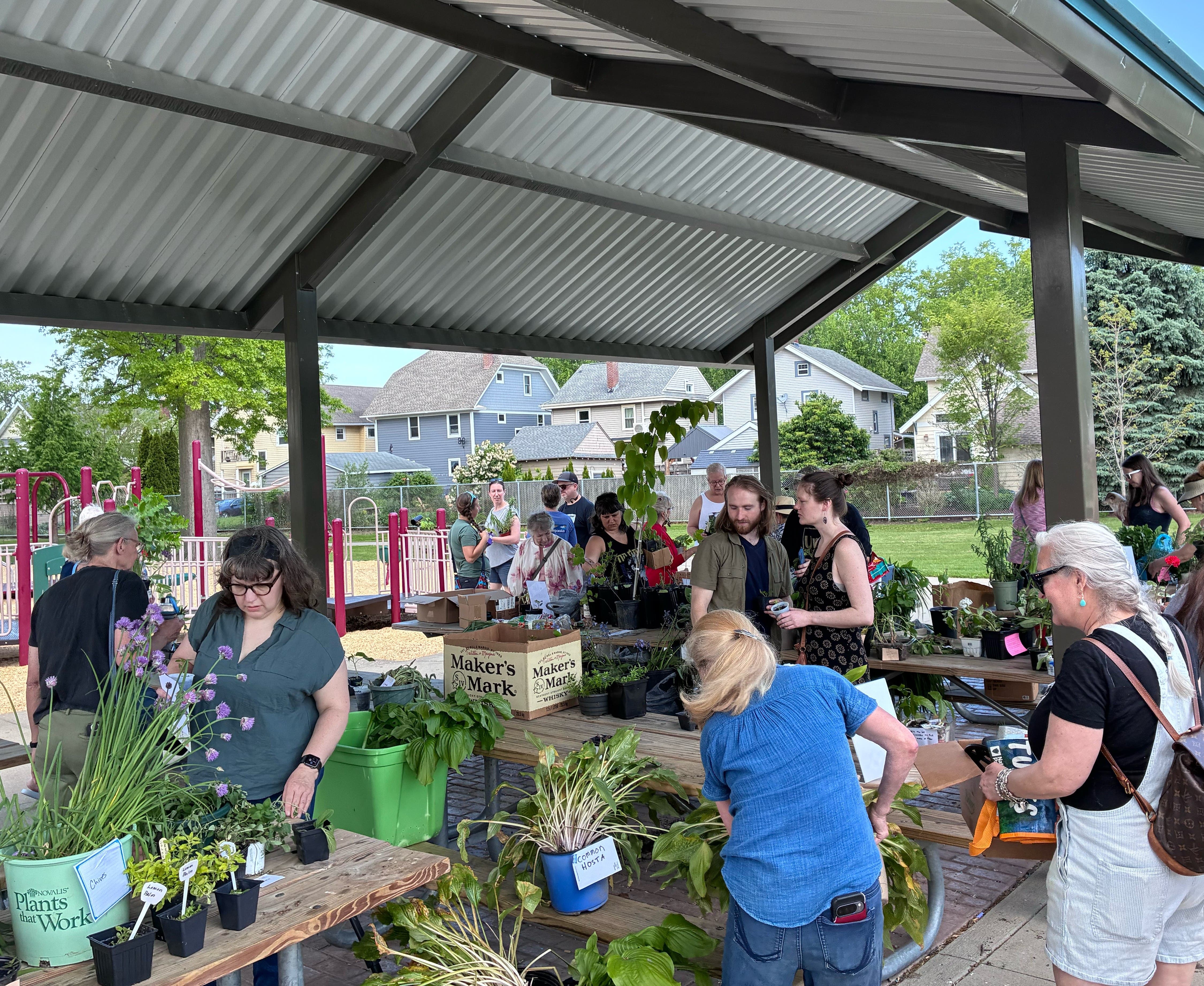 Fall Into Gardening at GardenWalk Lakewood’s October Plant Swap