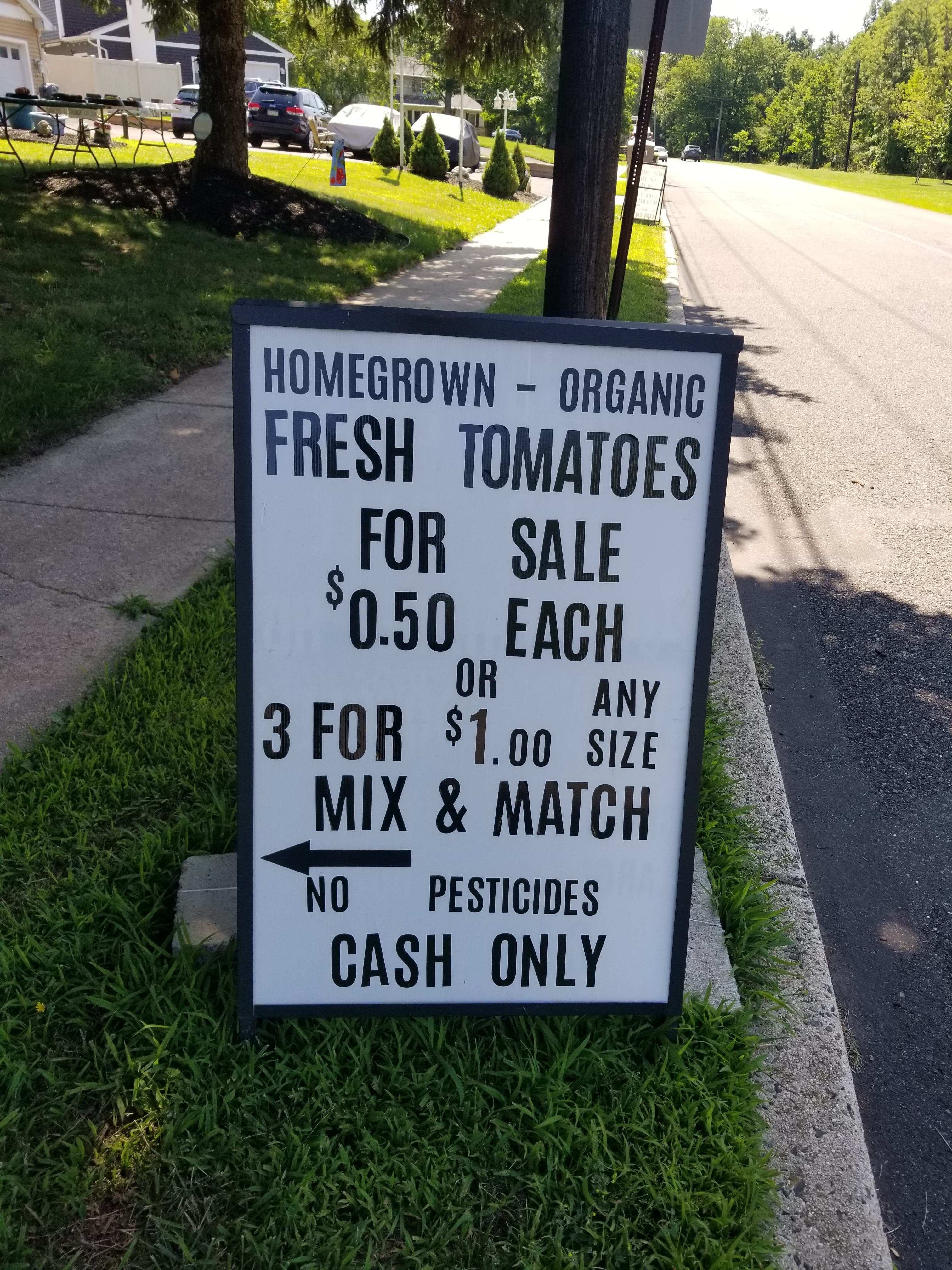 Homegrown Fresh Tomatoes for Sale