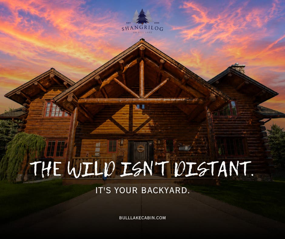 How to Tell a Real Montana Log Cabin From a Log-Sided Imitation | Shangrilog