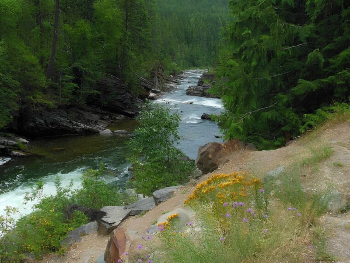 The Yaak: What to Know Before You Drive Montana's Highway 508 | Shangrilog