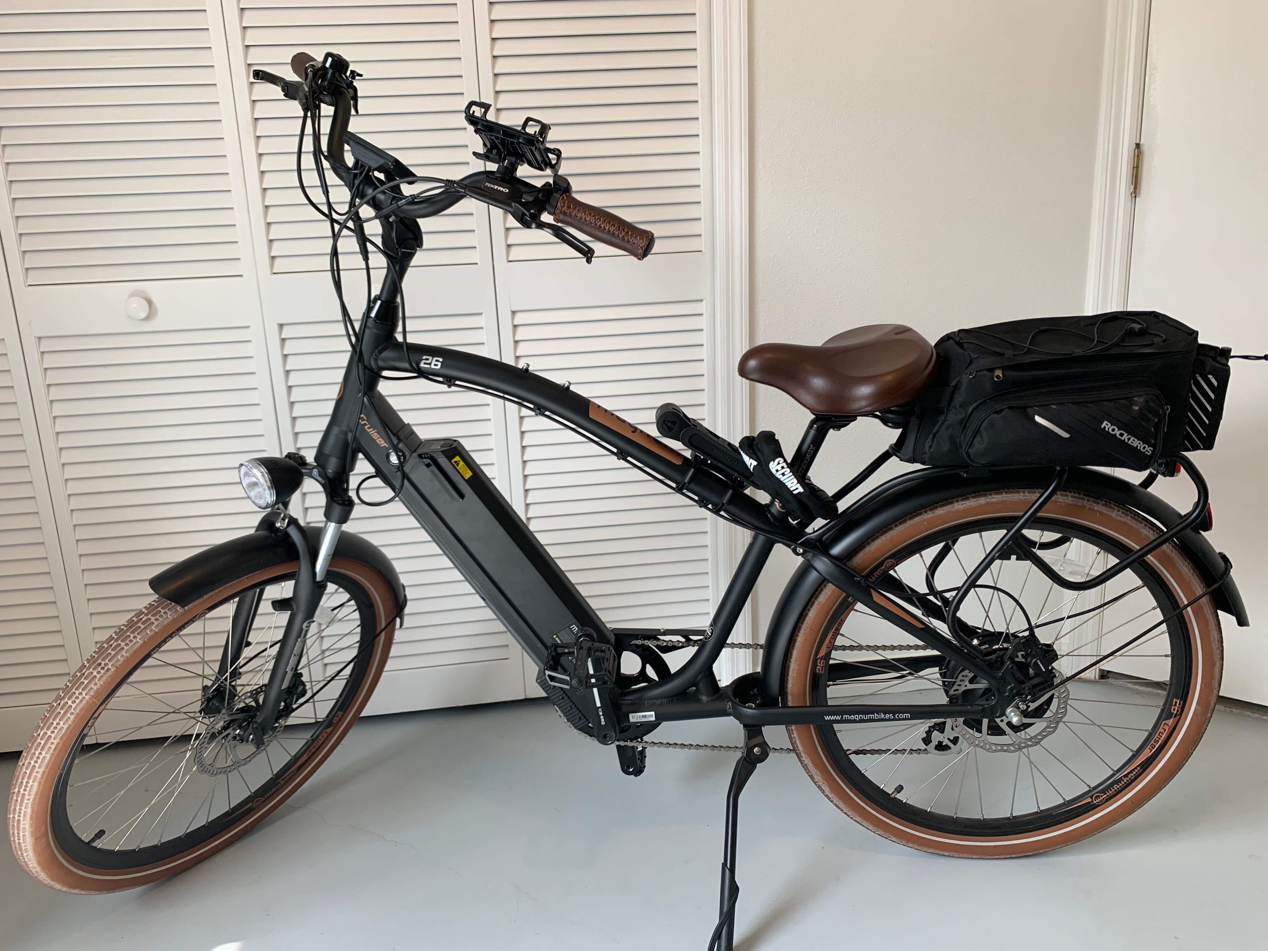 Power assist electric bike - Magnum