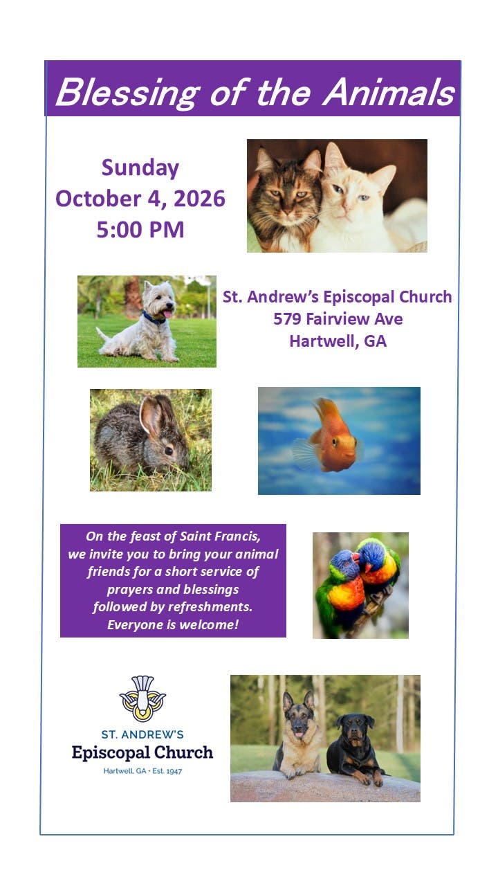 Blessing of the animals at St. Andrew's