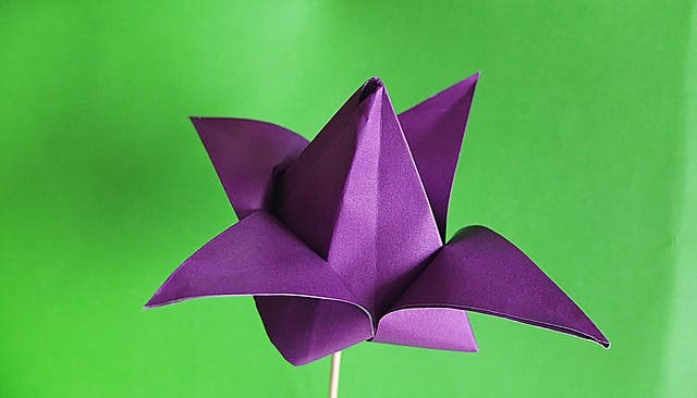 Kids Origami Fun