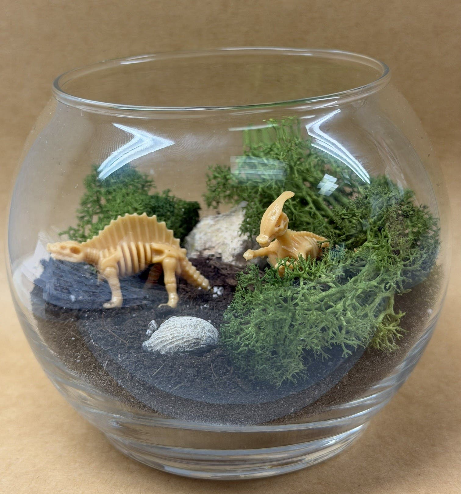 DIY Adults: Jurassic Terrarium