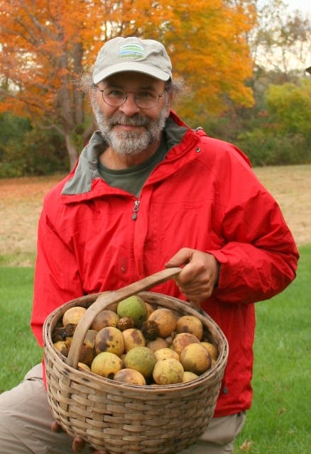 Wild Edibles In and Around Wilmot