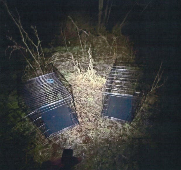 The dogs were left in open crates with no food or water. (NJ State Police)