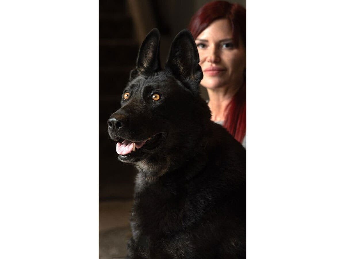 “This is my passion… I really feel like everything I’ve been through has put me into a place in life where I was always meant to be,” nonprofit founder and abuse survivor Kelly Sutliff said.