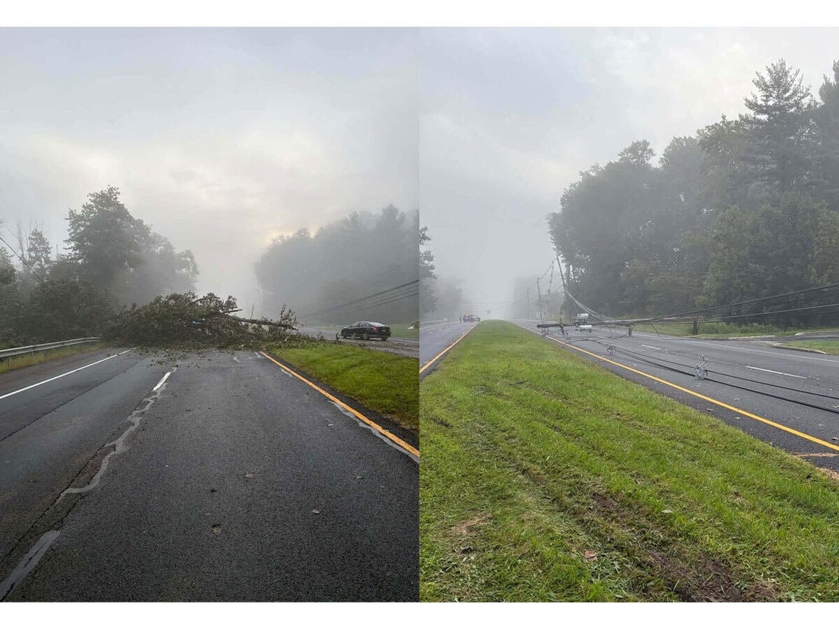 According to police, the fallen tree and wires have caused "significant" damage to three utility poles.