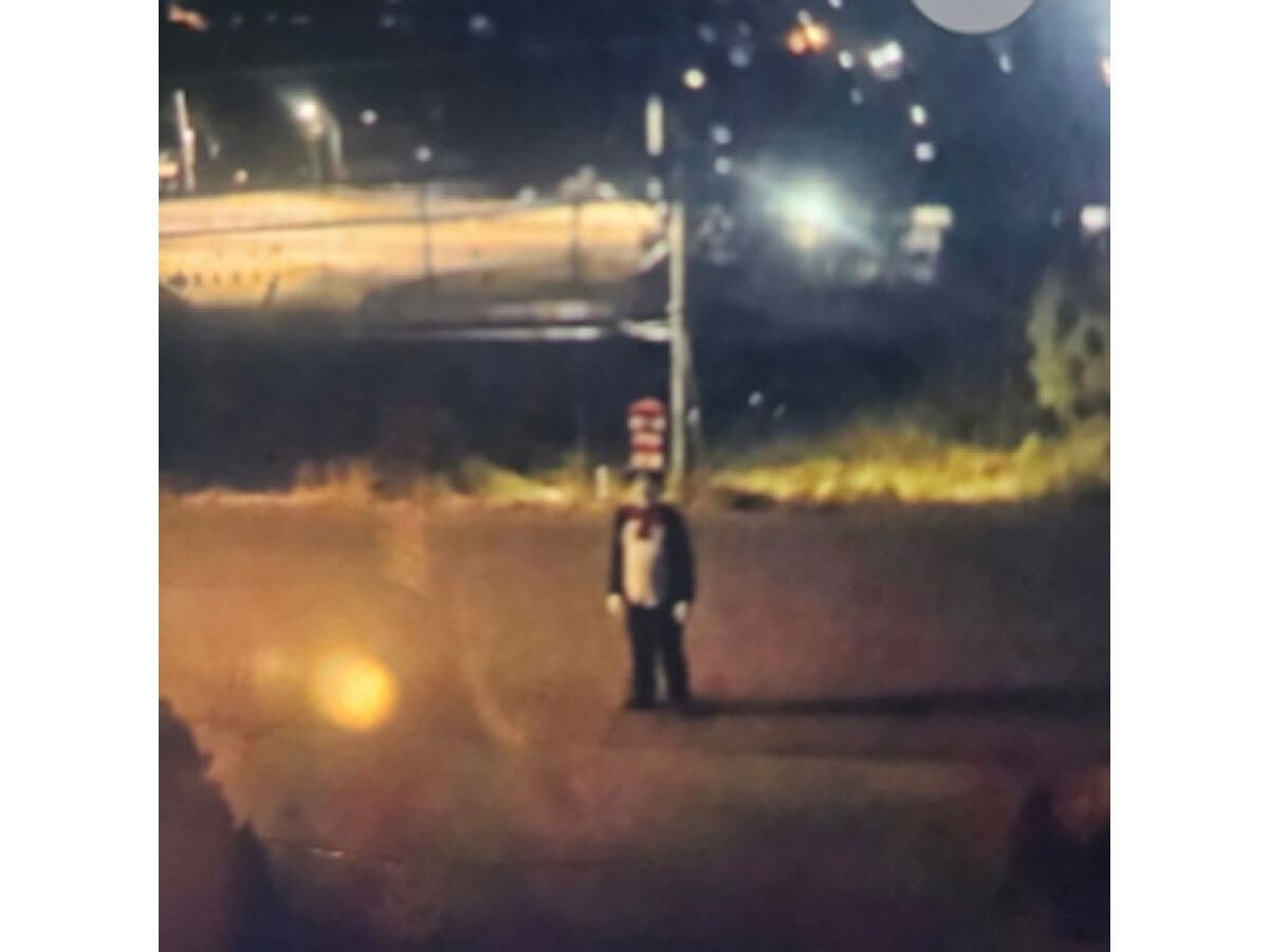 A bizarre new trend involving the classic Dr. Seuss character, The Cat in the Hat, has emerged, and NJ police are likening it to the 2016 "Killer Clown" craze. Authorities say this cat, pictured above, chased a teenage girl down the street.
