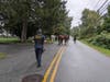 At least four horses were rounded up in the Montville suburb. 