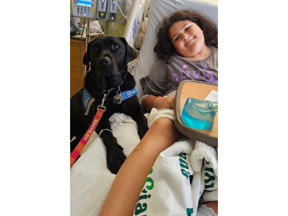 Eleven-year-old Totowa resident Viviana “Viv” Gill receives a comforting visit from a Canine Companions dog during a hospital stay. Viv is undergoing treatment for BPDCN, a rare blood cancer.