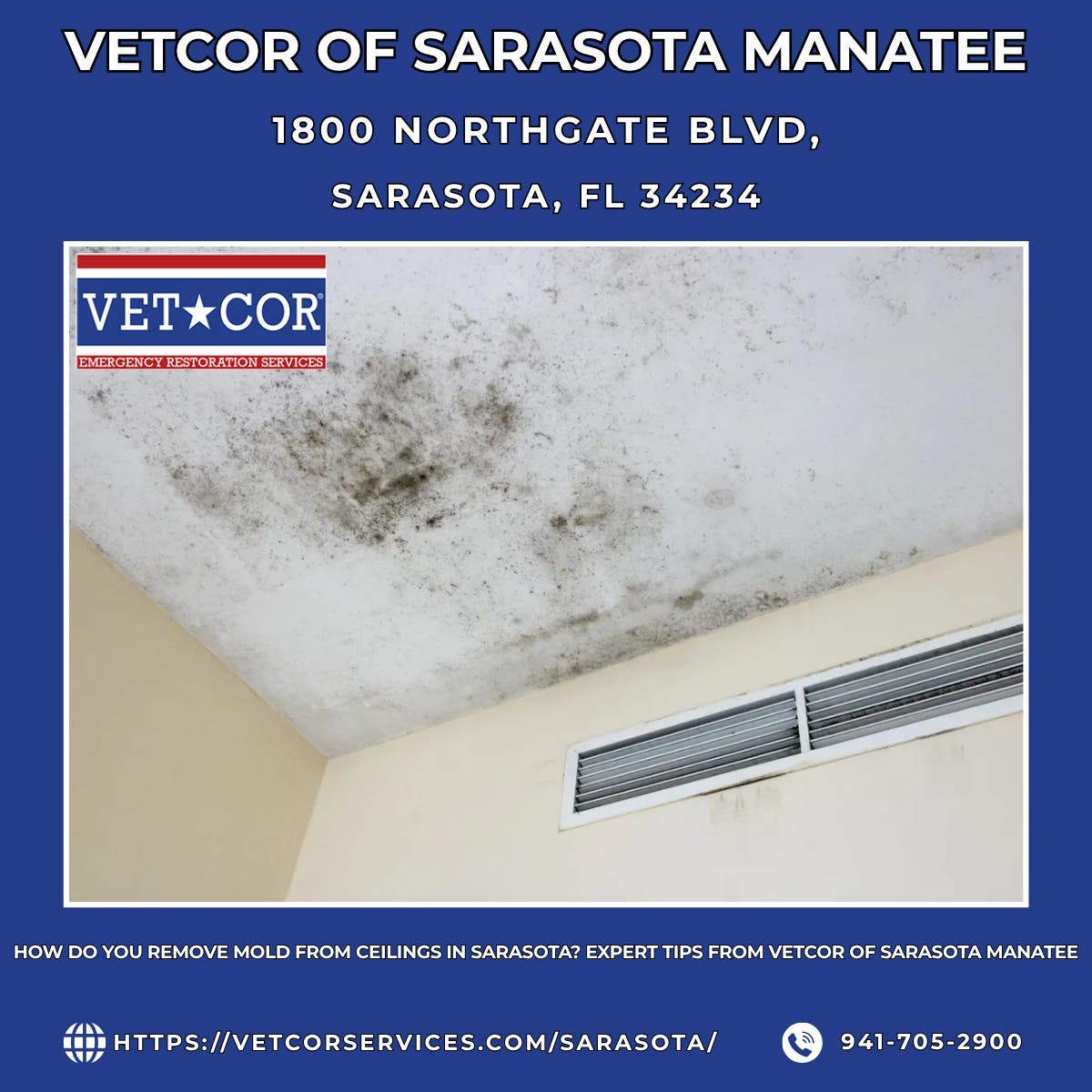 How Do You Remove Mold From Ceilings in Sarasota? Expert Tips From VetCor of Sarasota Manatee