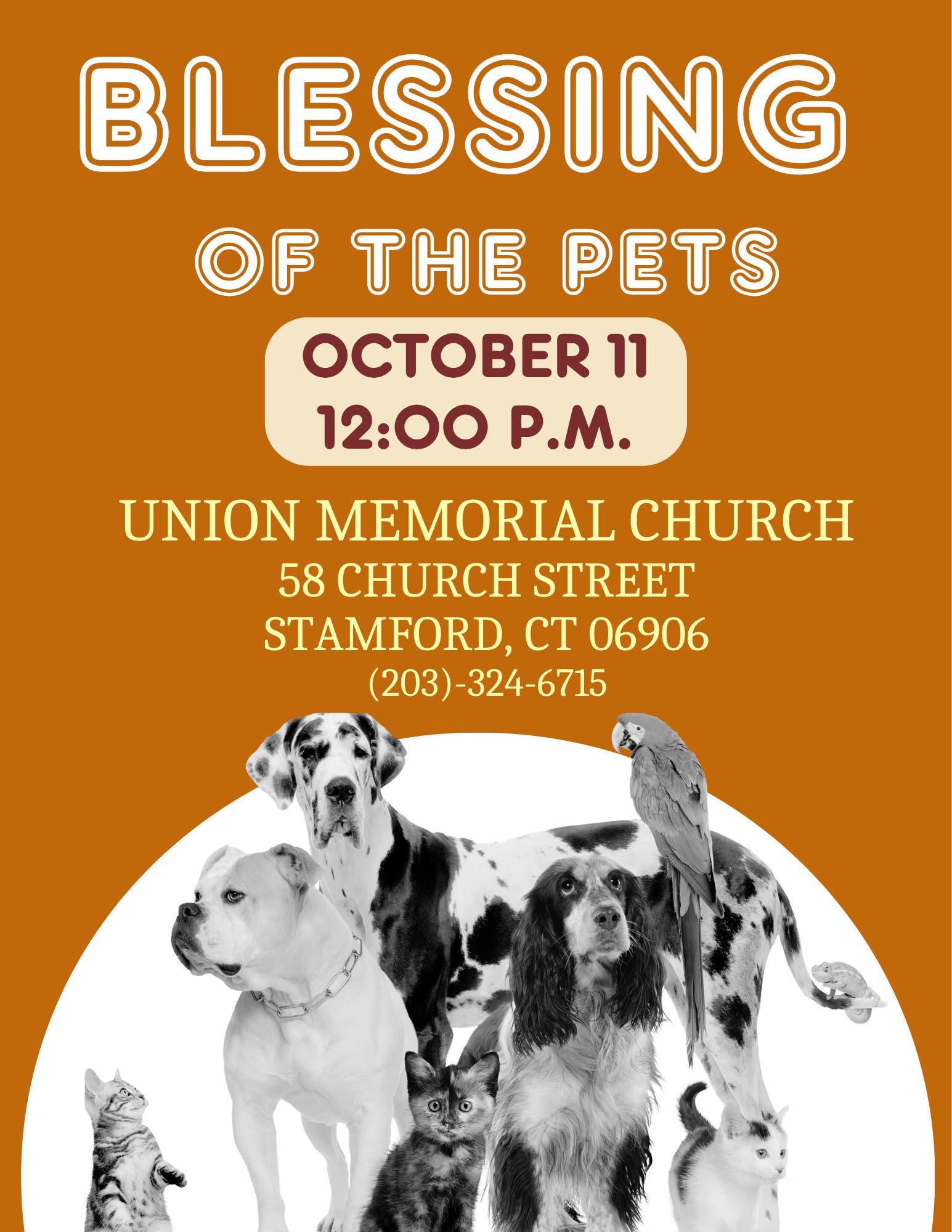 Blessing Of The Pets