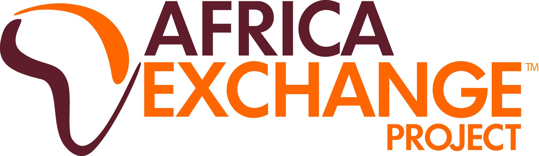Africa Exchange Project Fundraising Party