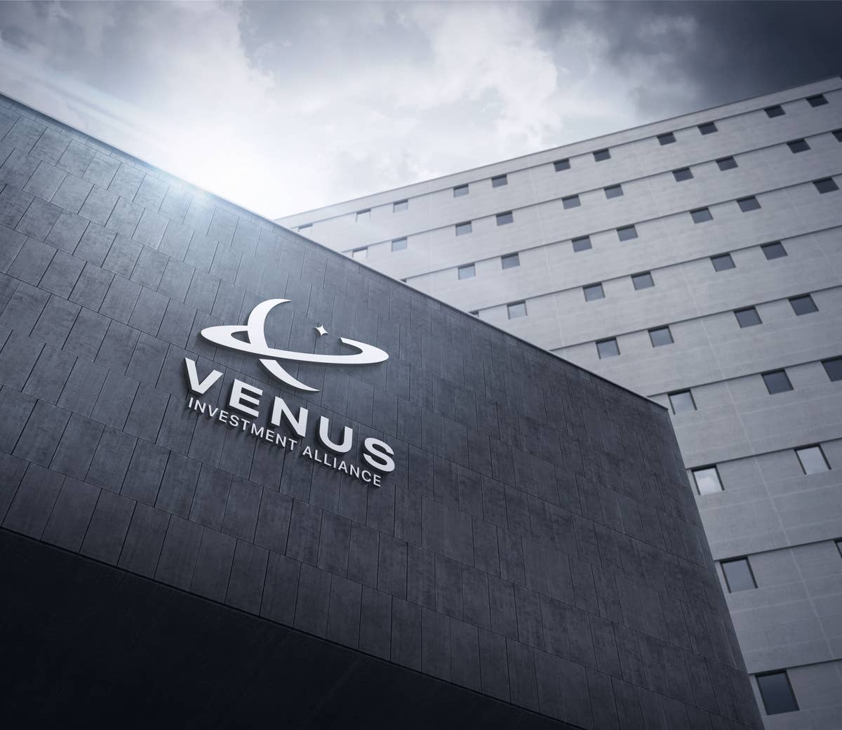 Venus Investment Alliance