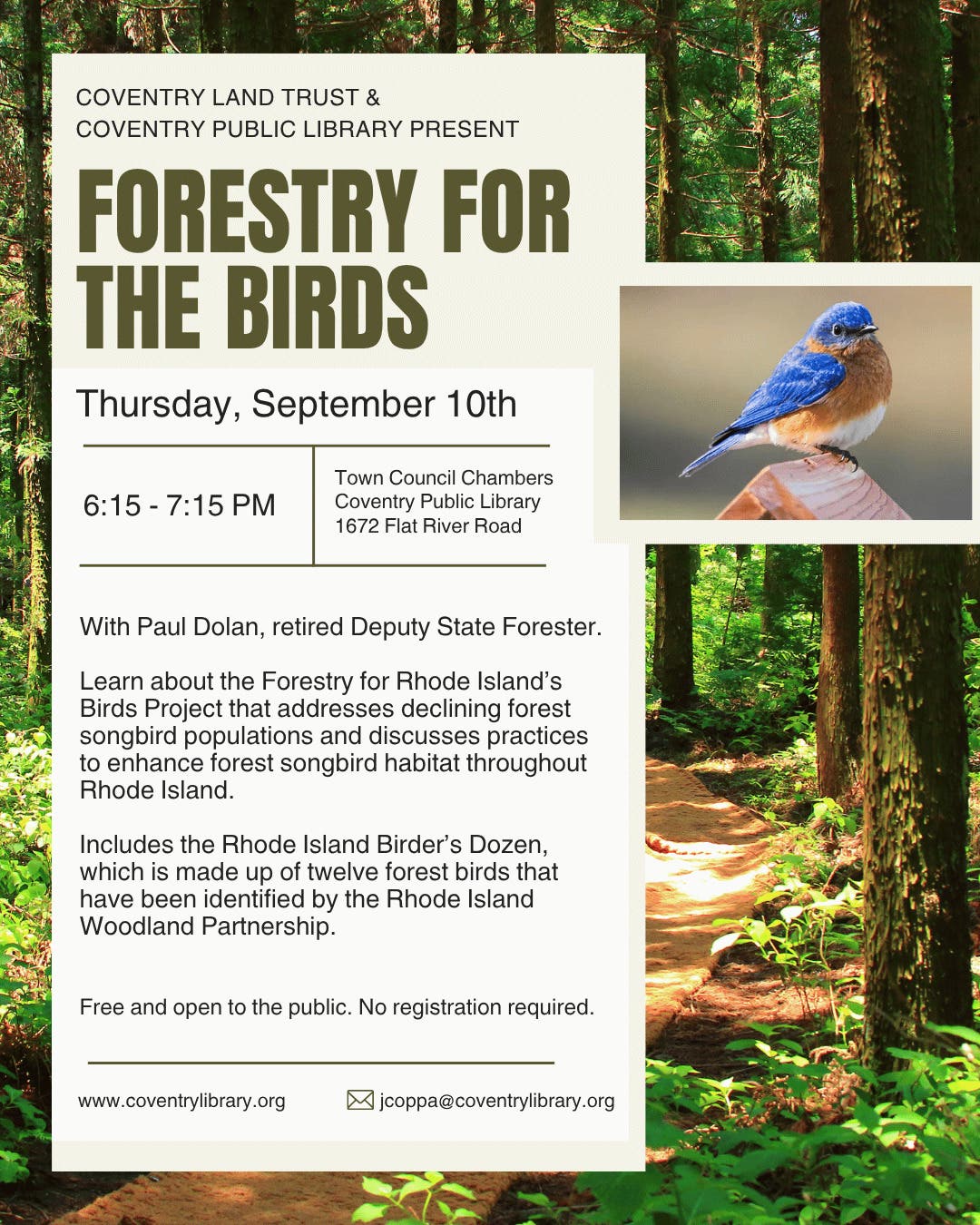 Forestry for the Birds, with Paul Dolan