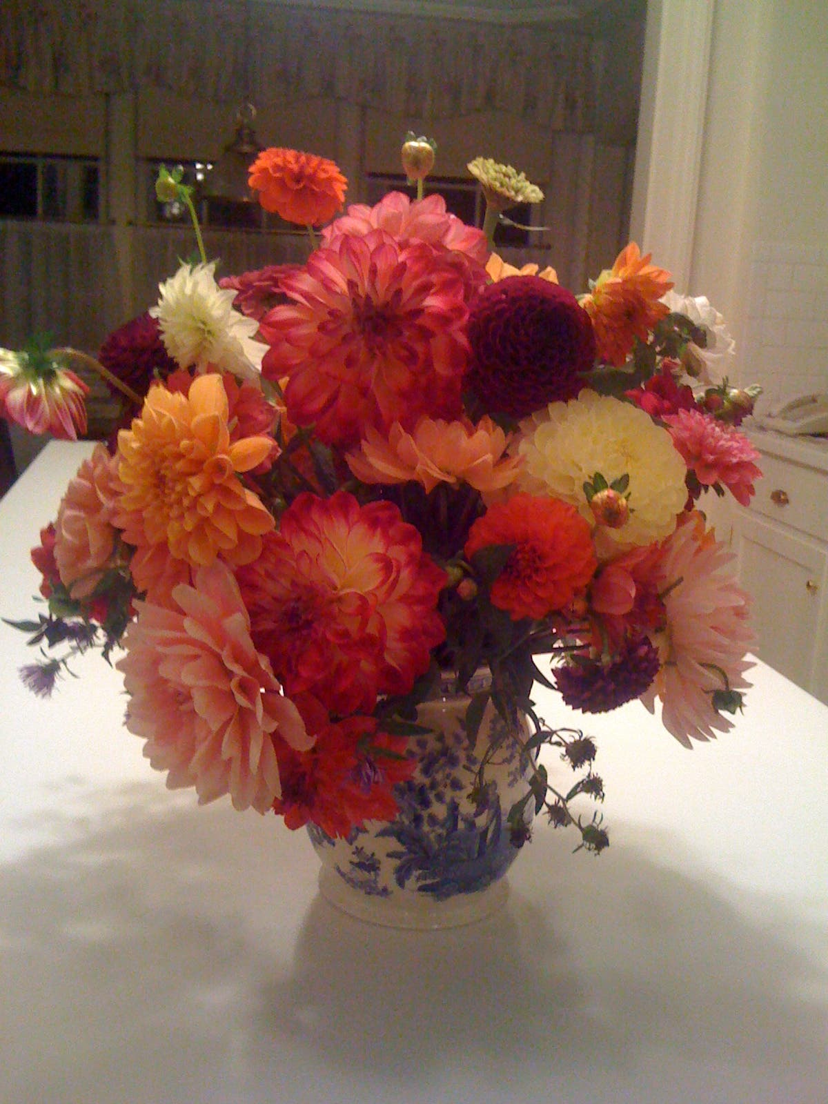 Dahlia tubers for sale