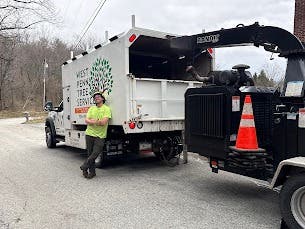 Why choose  West Penn Tree Service for your Tree Care Partner in Monroeville, PA?