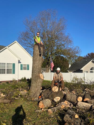 Why Concord Homeowners Trust Good Neighbor Tree Service for Safe, Professional Tree Care
