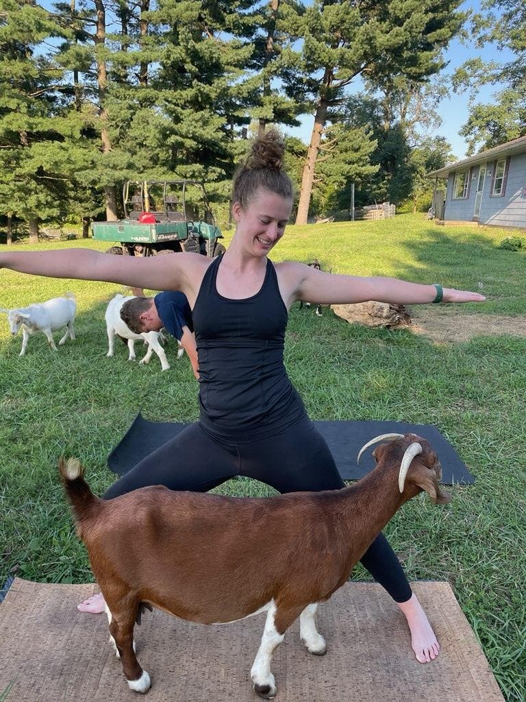 Goat Yoga