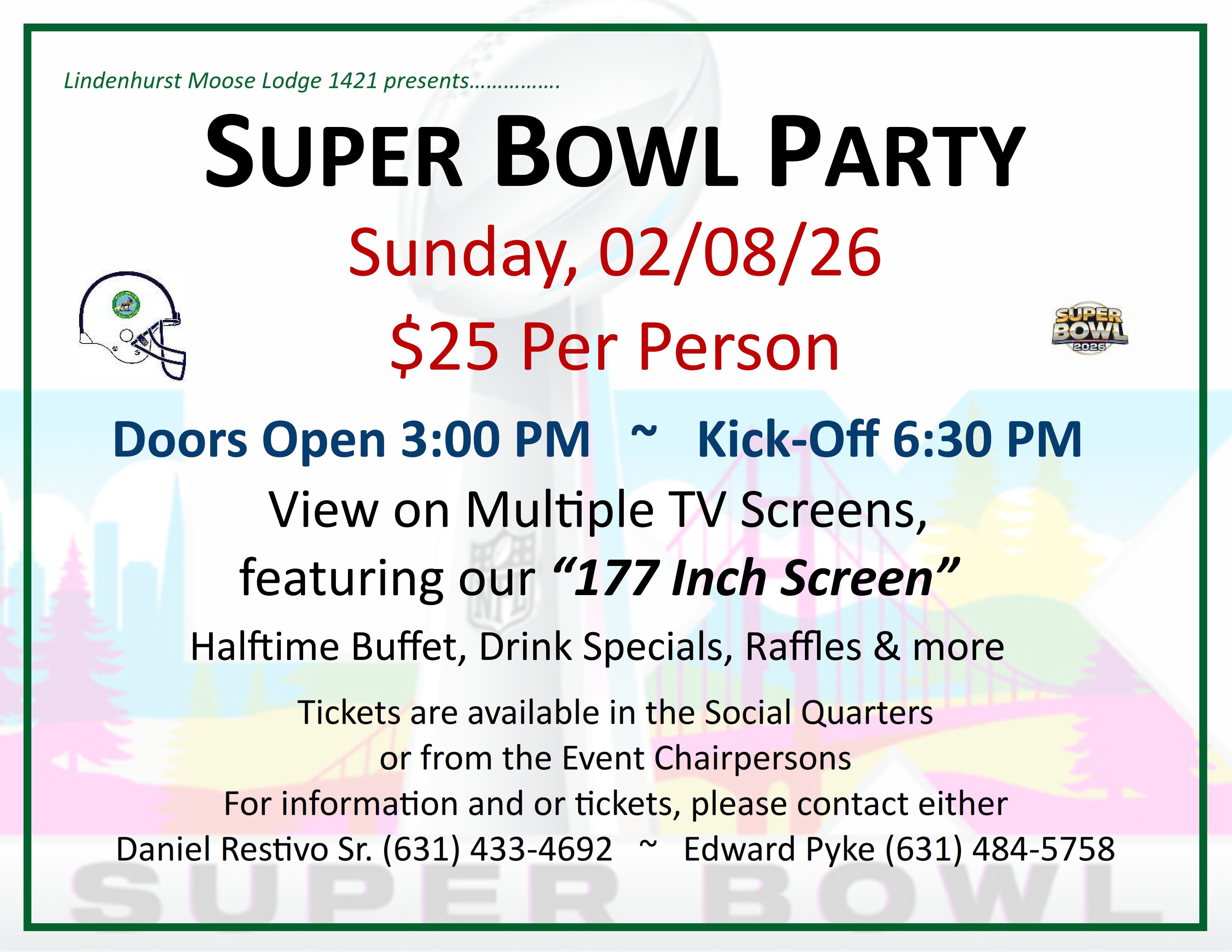 Super Bowl Party