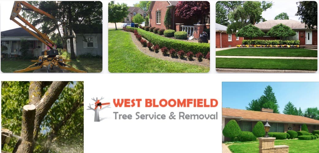West Bloomfield Tree Service & Removal
