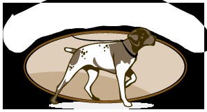 All About Canine Care