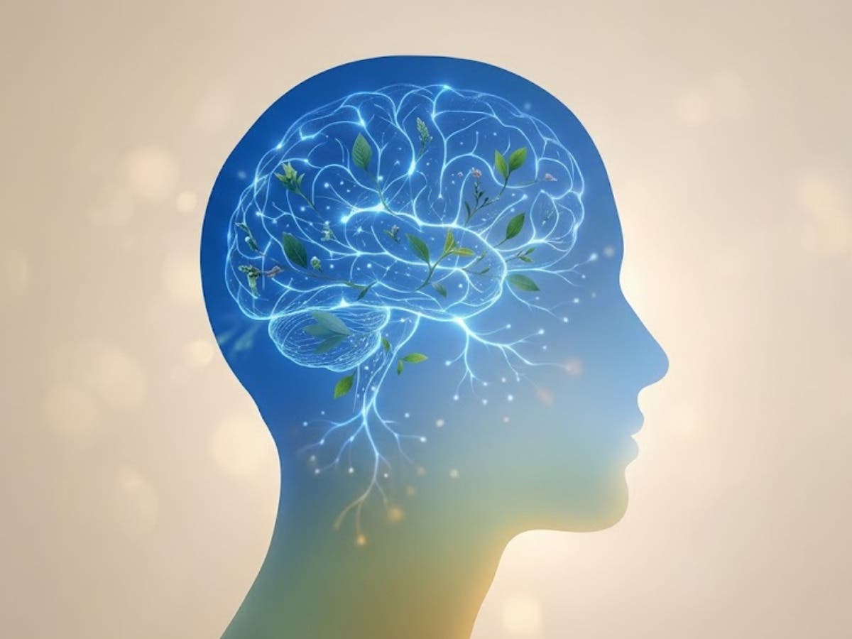 How the Brain Heals After Alcohol: A Recovery Timeline | Asana Recovery