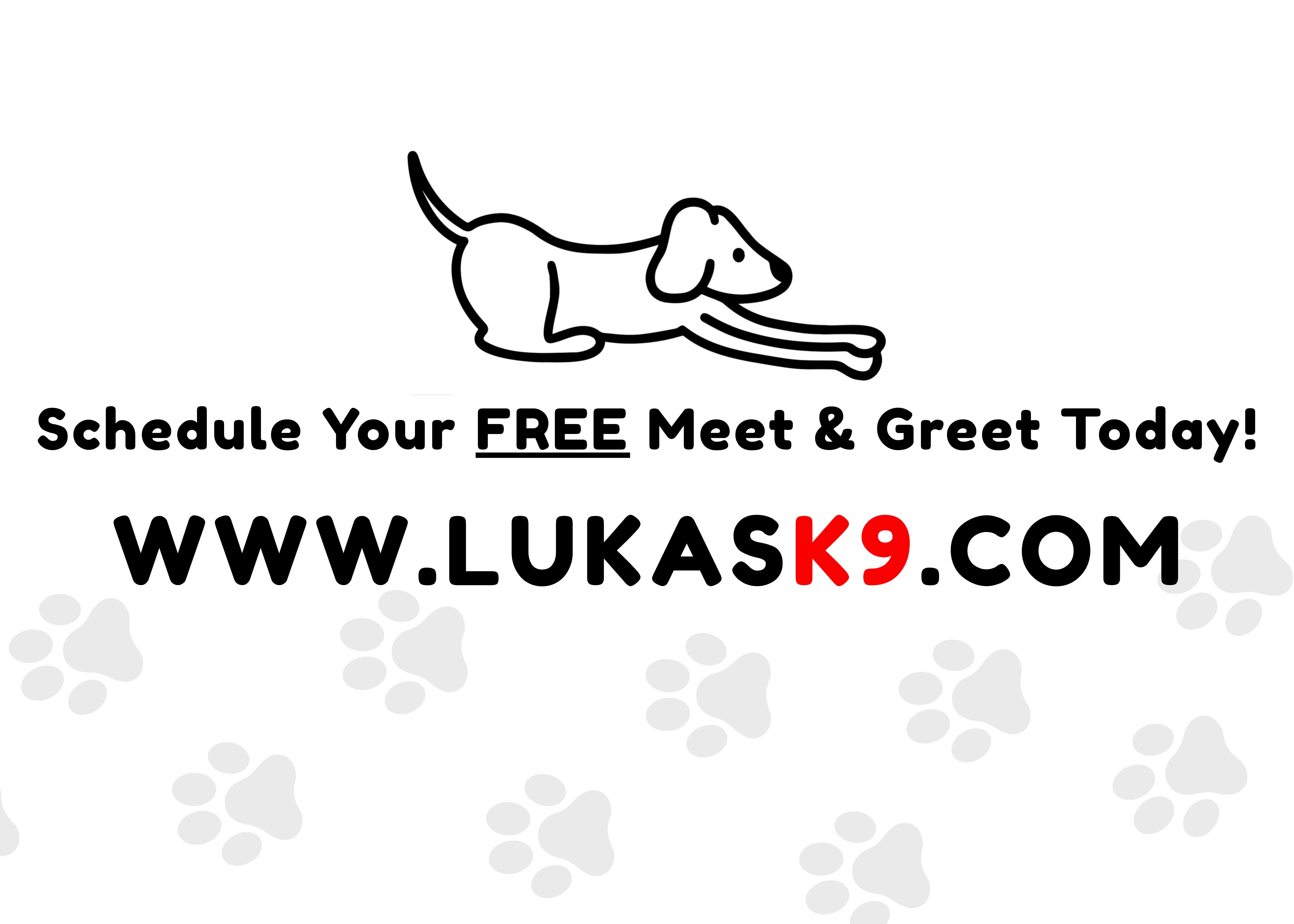 LUKAS K9 Tri-Valley Dog Sitting Services