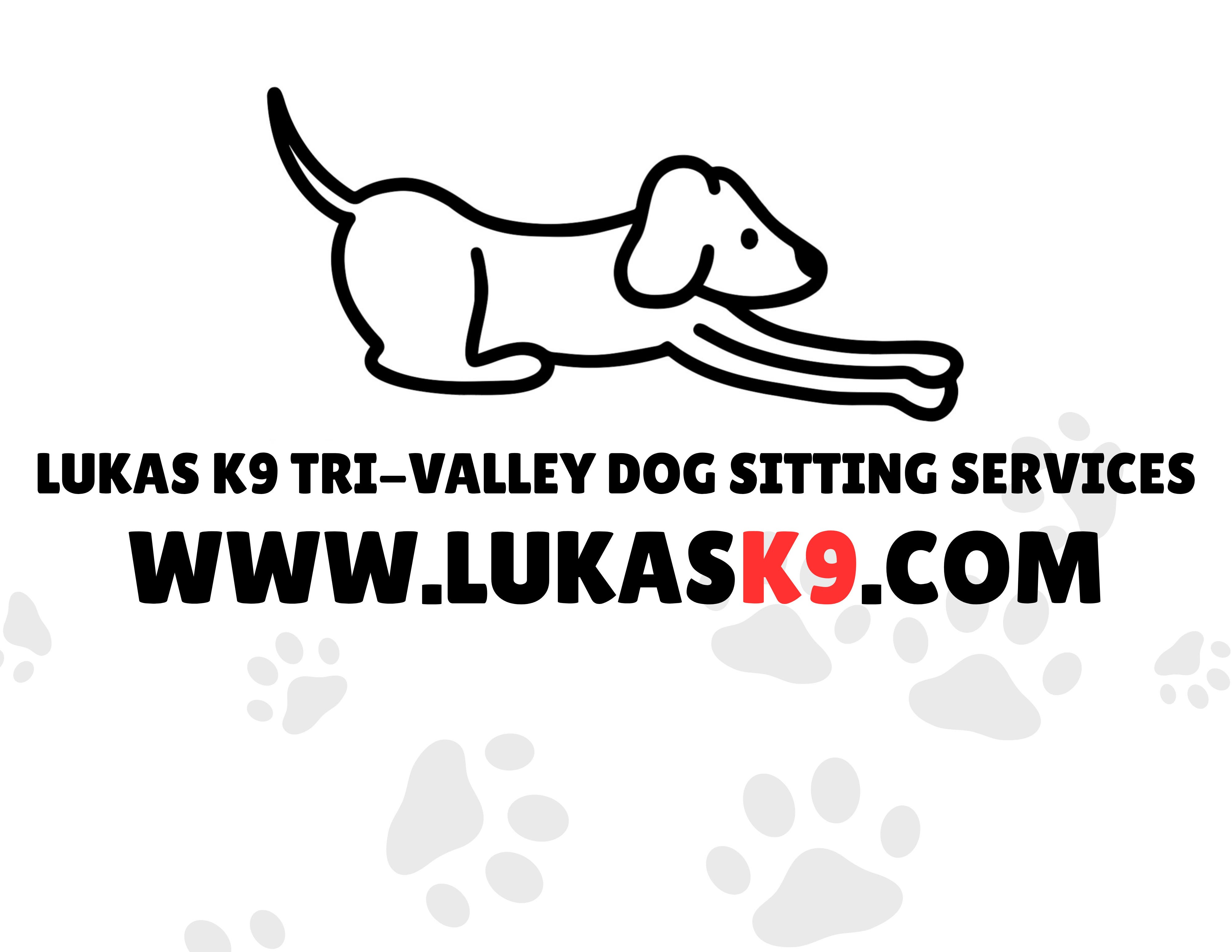 LUKAS K9 Tri-Valley Dog Sitting