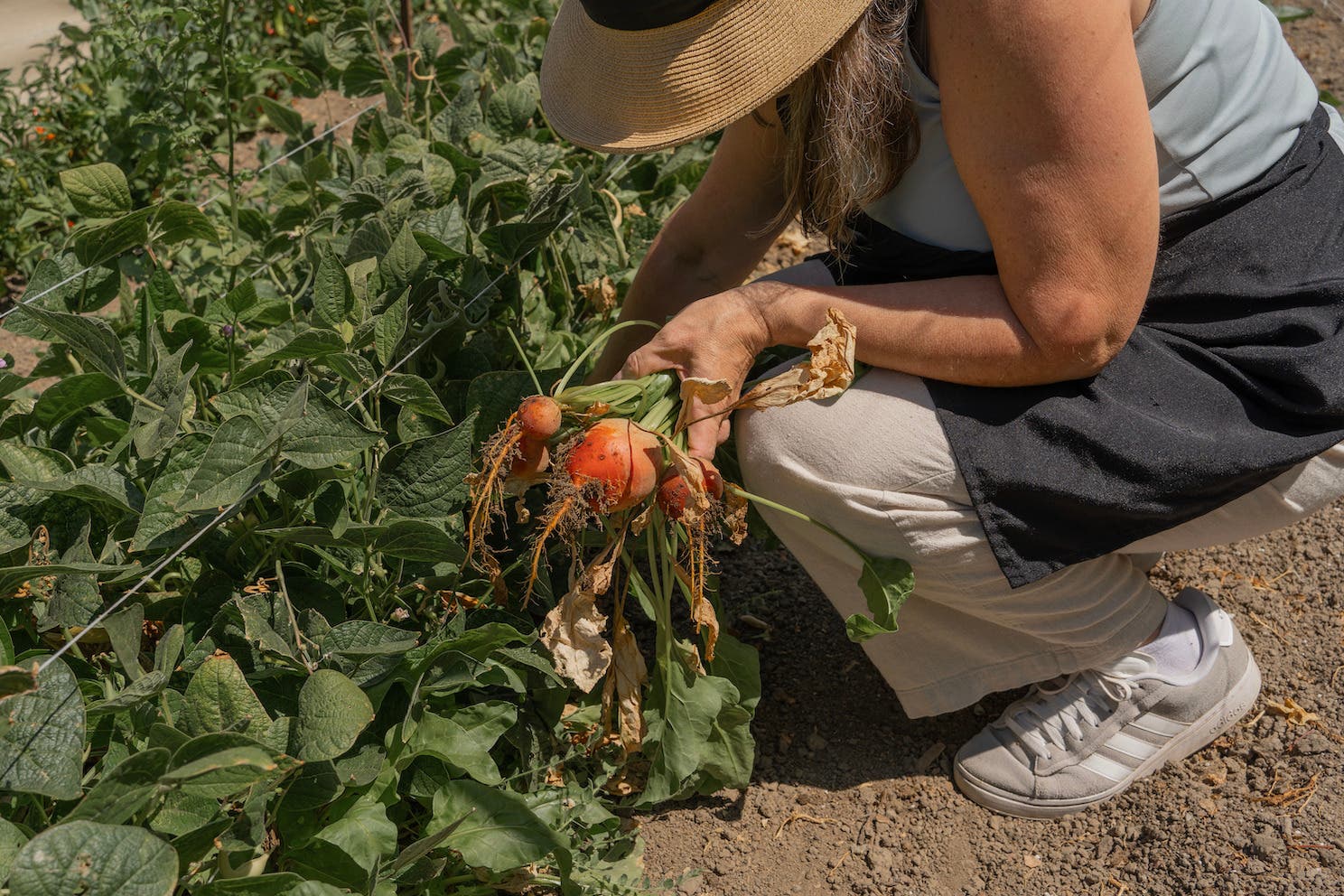 Garden Class with Farmer Mikey: Seeding