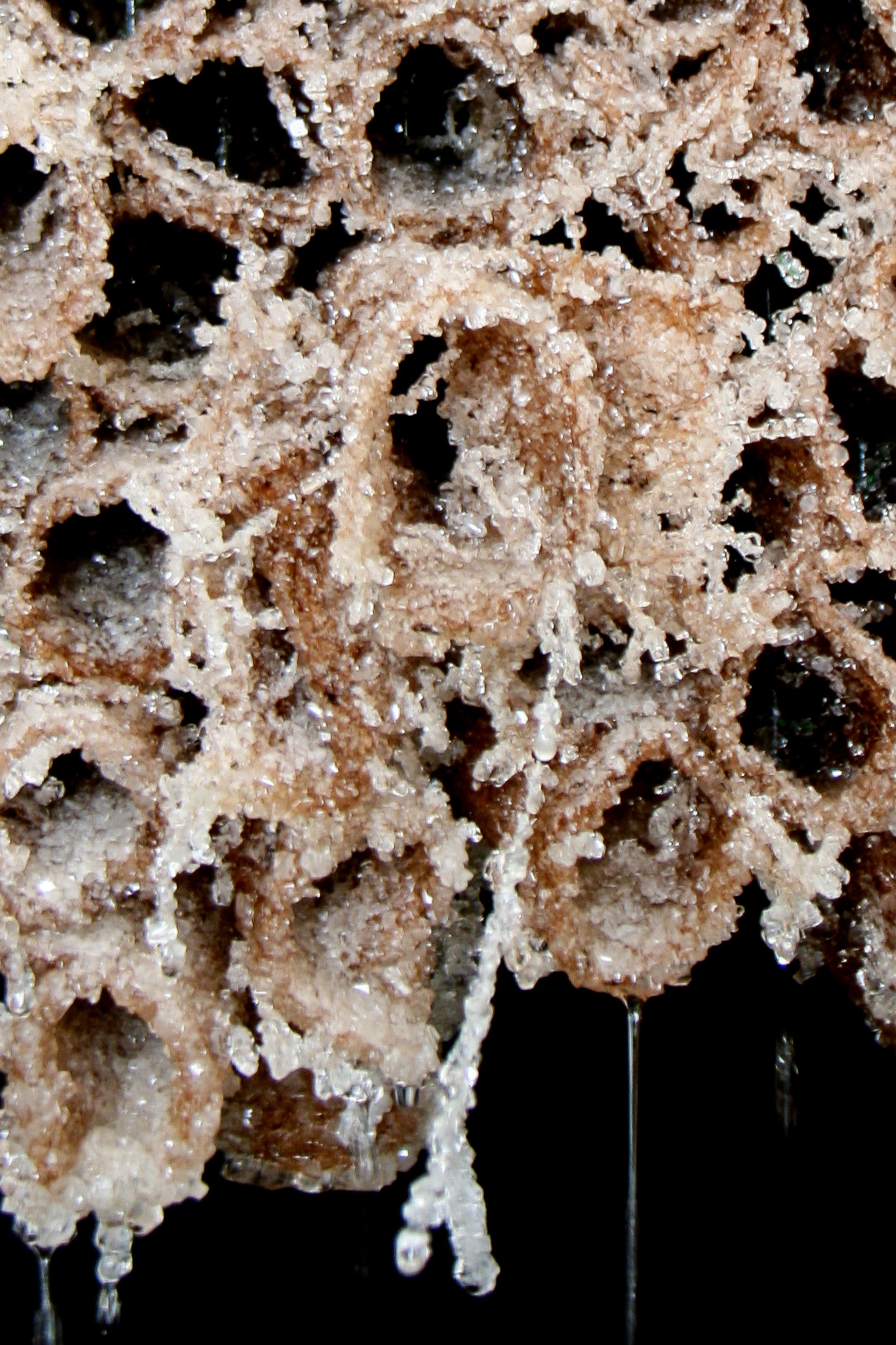 Fulcrum Arts presents Julie Tolentino: And Never Ends