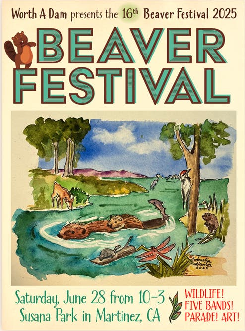 Beaver Festival XVI
