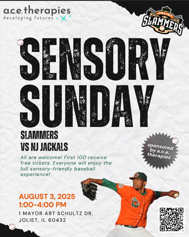 Sensory Friendly PRO Baseball Game!