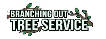 Poorman's Tree Service & Removal by Branching Out