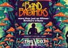 A Band of Brothers - Not Just an Allman Brothers Tribute