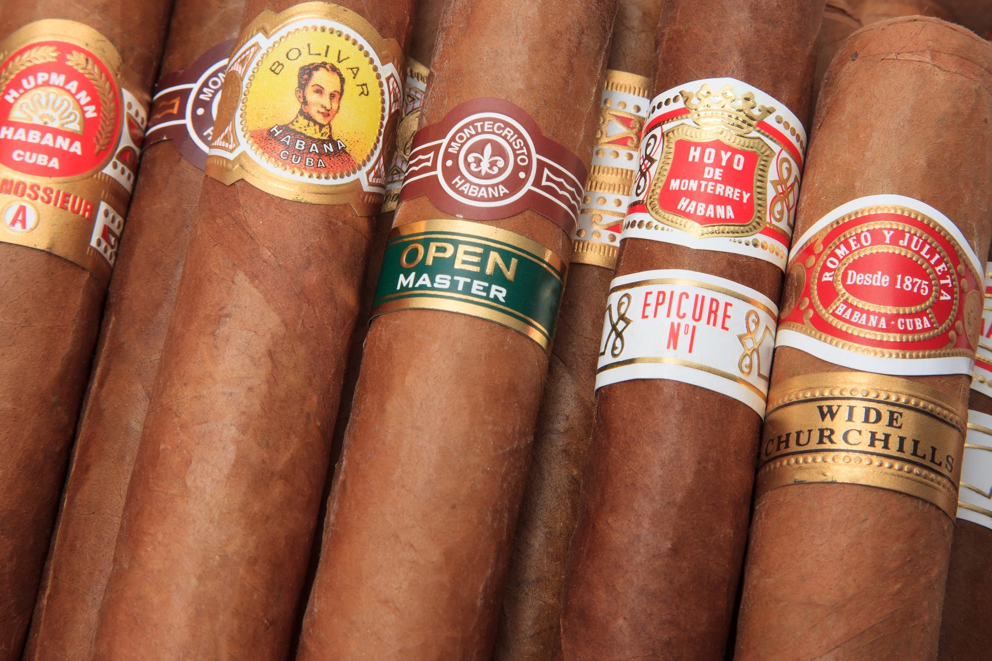 Exploring Houston’s Cigar Culture: What Local Enthusiasts Look for in Quality Cigars