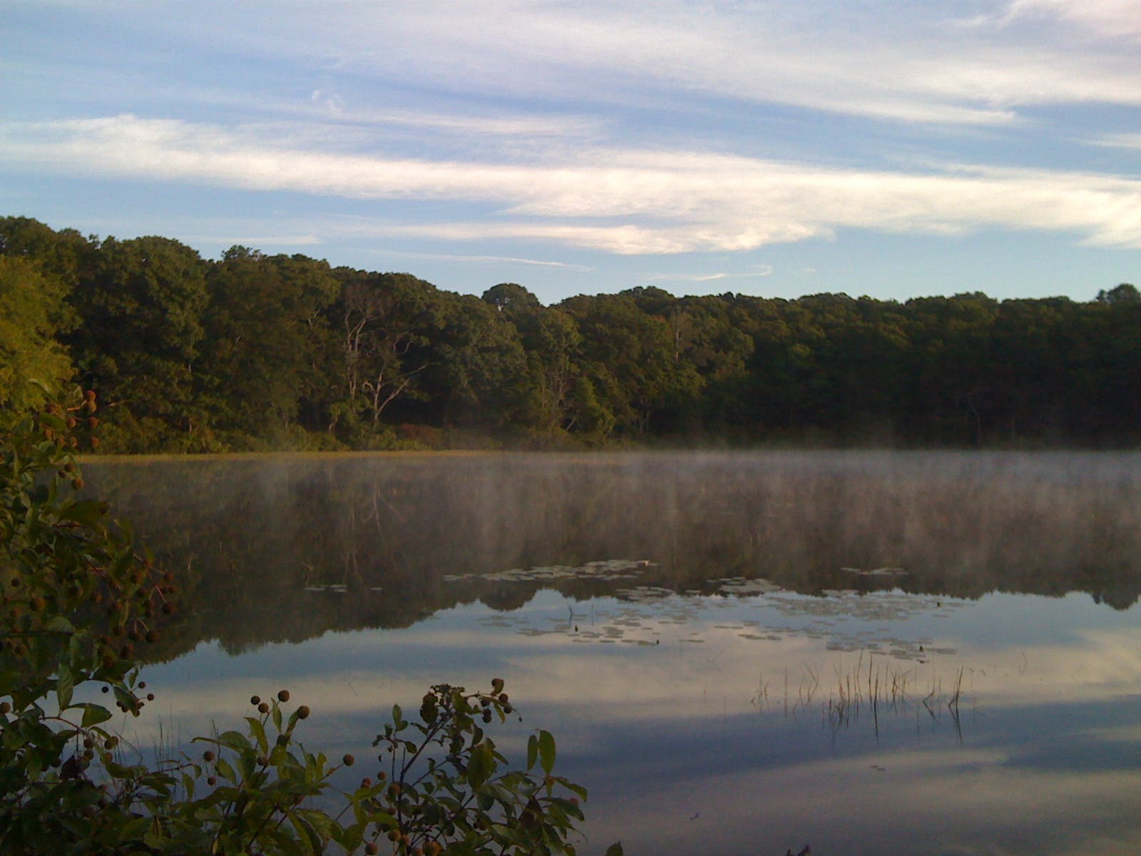 Pitch in on the Great East End Cleanup!