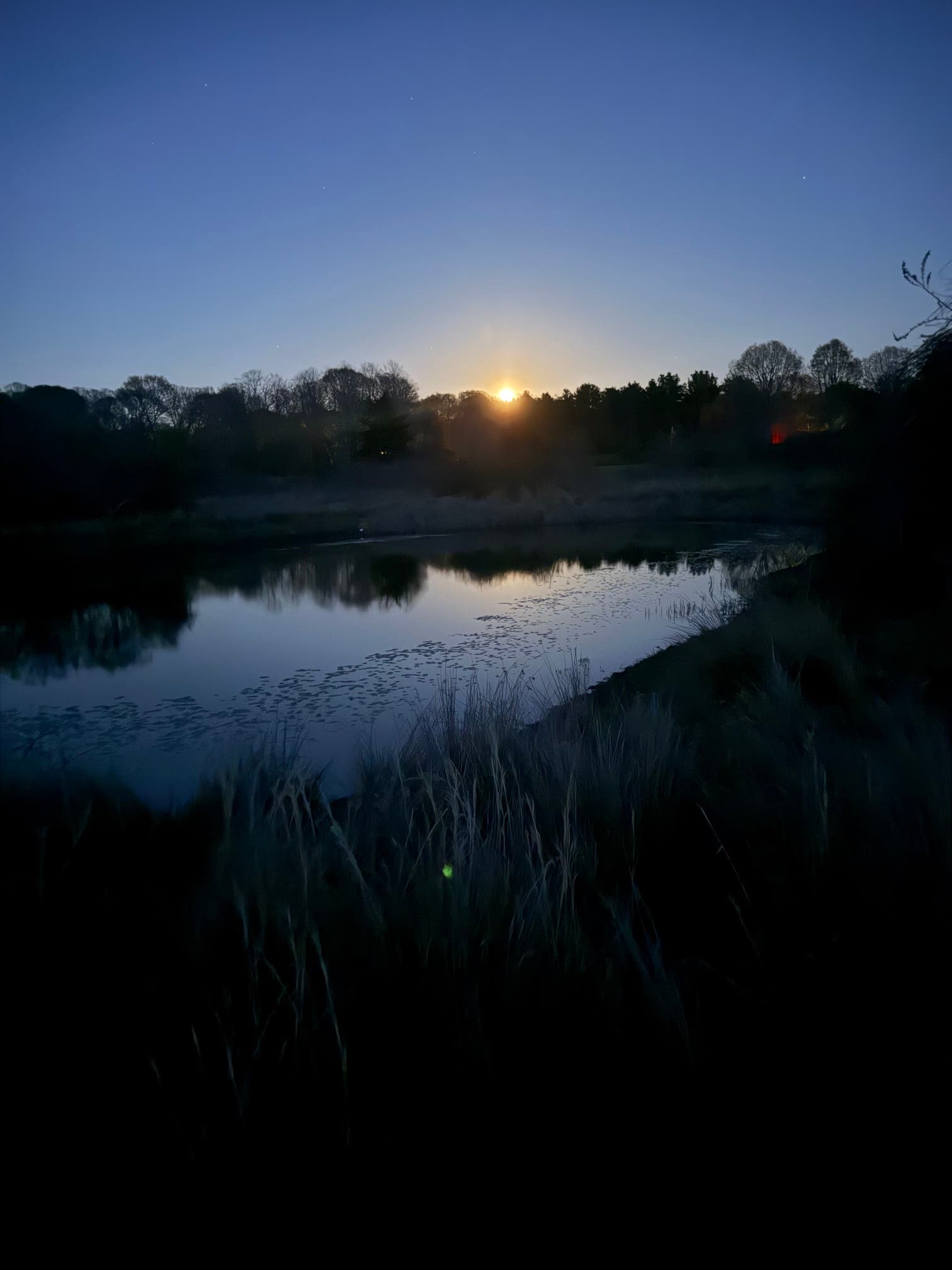 Full Blue Moon Hike and Serene Serenade