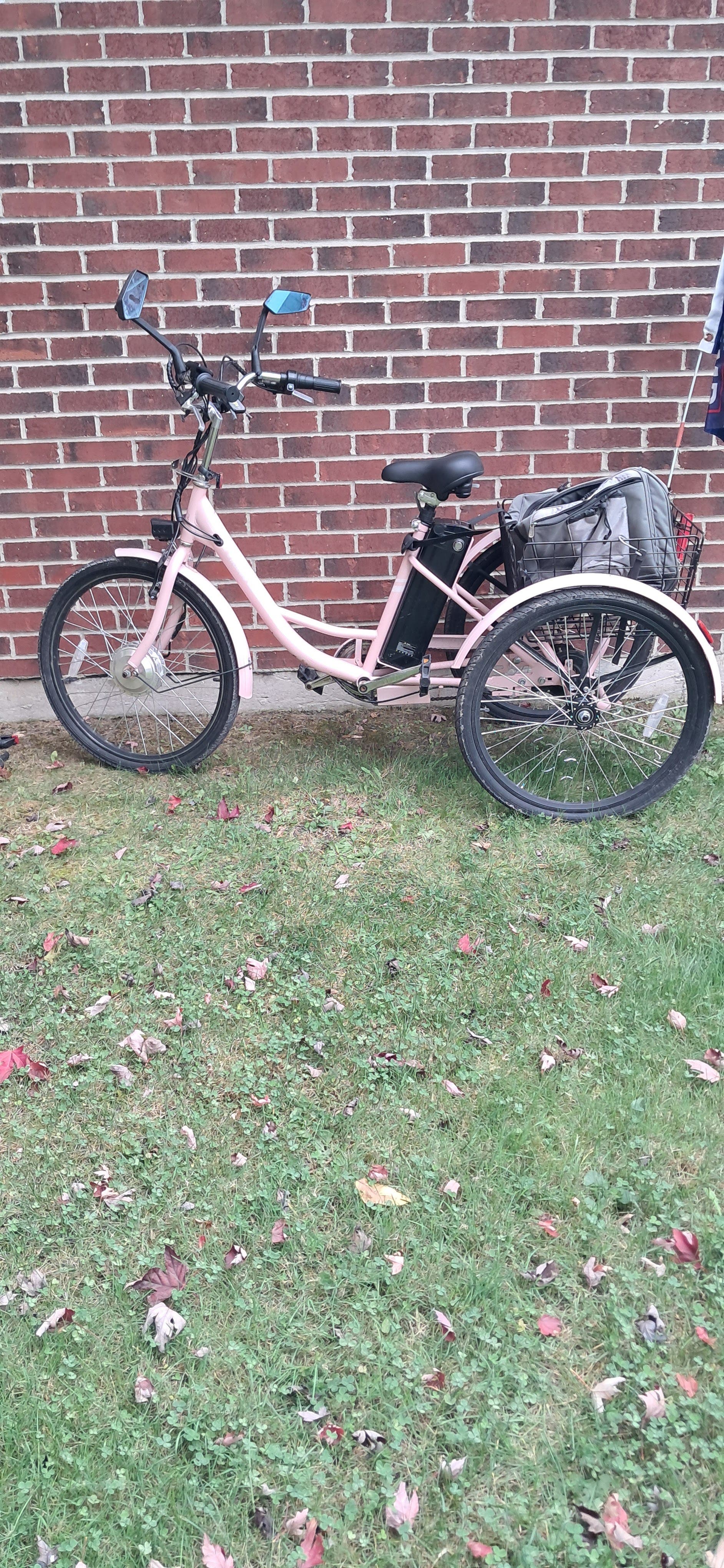 Veribbus Electric Tricycle 